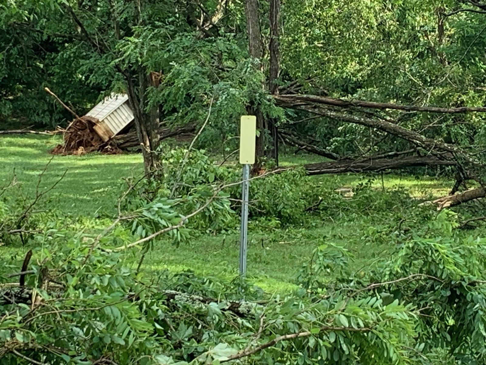 Dal Nita Hills had damage from straight line winds – The Botetourt Bee